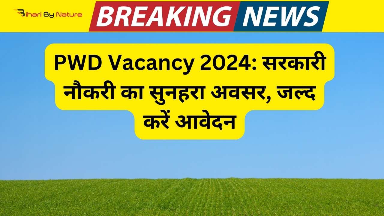 PWD Vacancy 2024: सरकारी नौकरी का सुनहरा अवसर, जल्द करें आवेदन